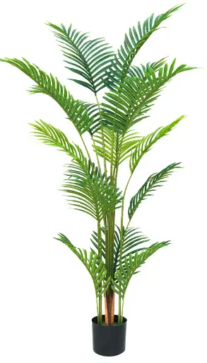 [PC616B0140G2] Palmera Areca