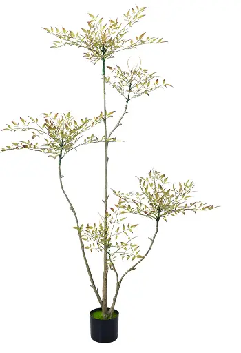 [PC011F0150GY] Nandina